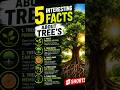 🌴 Interesting facts about tree's 🌳#ssc #facts #tree #viral #trending