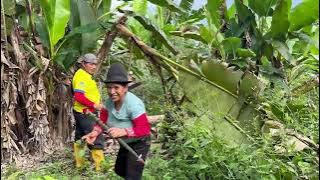 You won't believe all the harvest we've had in the garden!