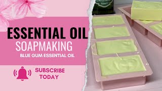 How to mix essential oils for soap making – The Homestead Store