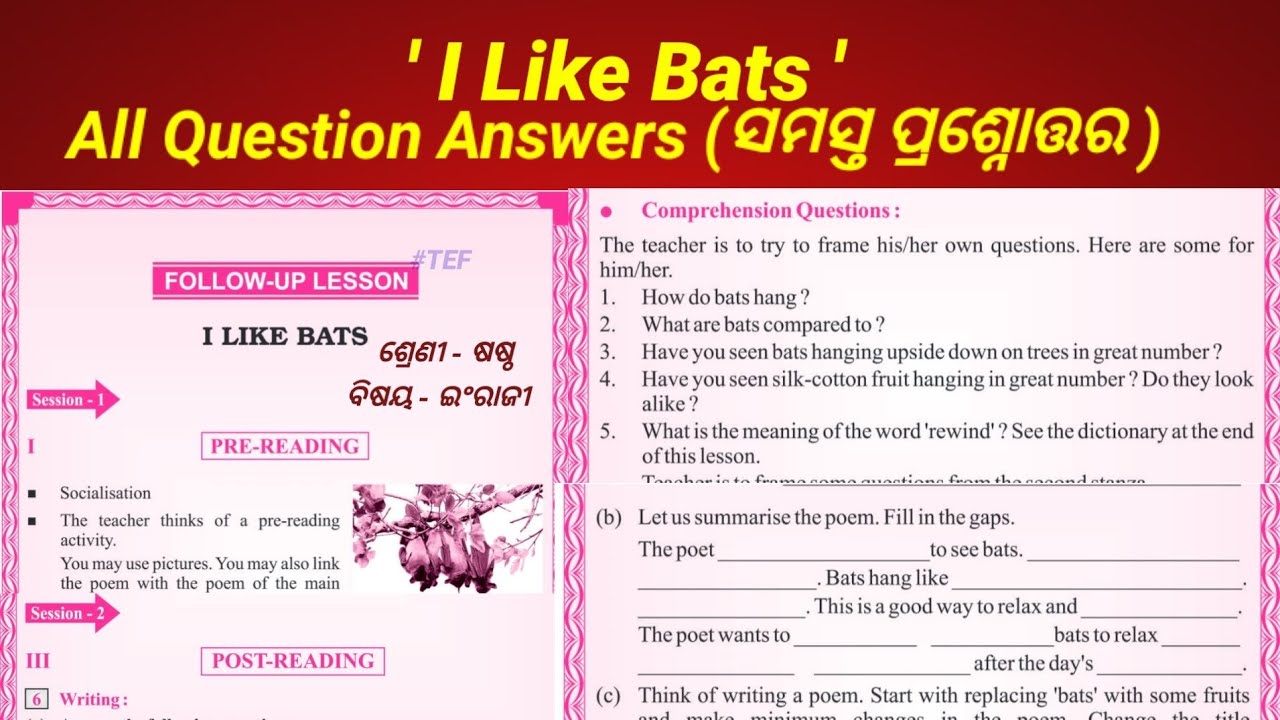 I Like Bats class 6 Question Answers English Comprehension question