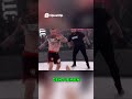 Kung Fu Panda knockout #fighting #mma #knockout #knockouts #mmafighter
