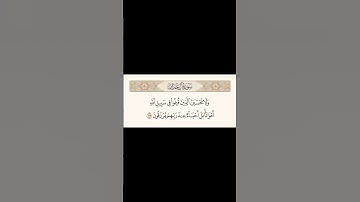 #قرآن #اكسبلور #سورة_آل_عمران
