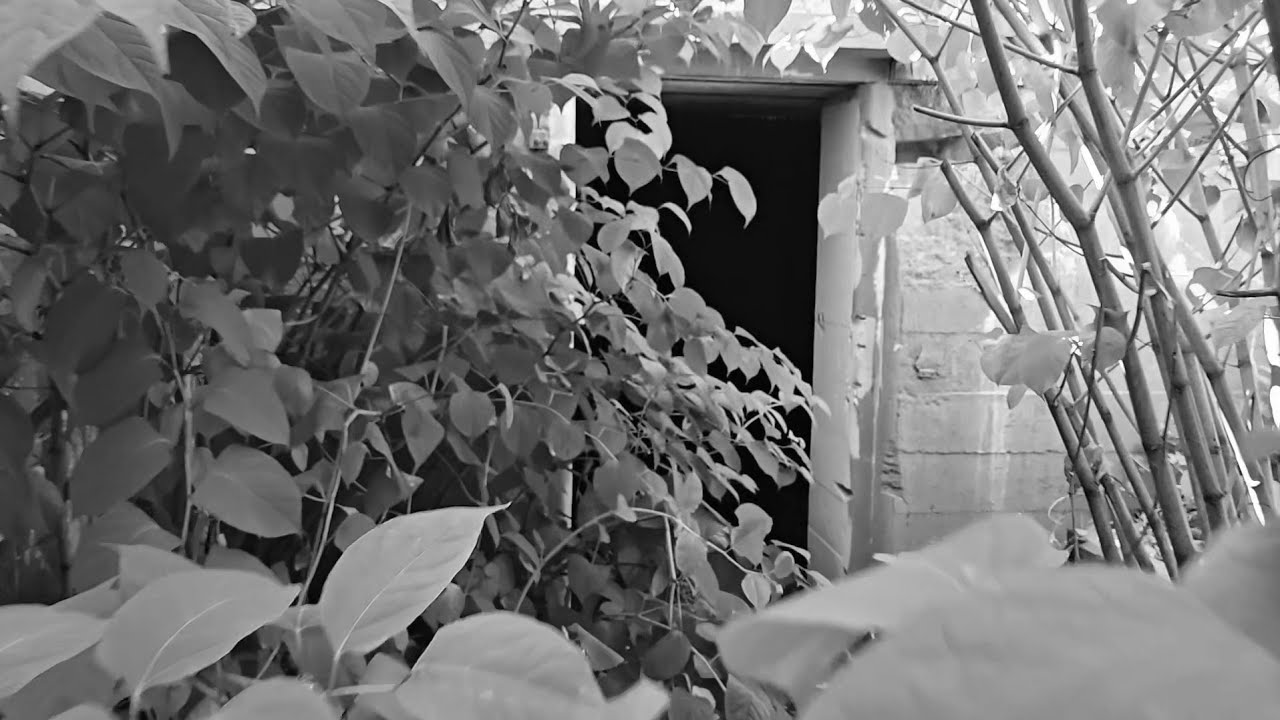 Return to Hidden Fort ASMR (Black & White Film)