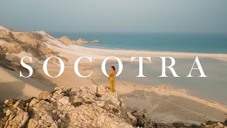 此生最魔幻的7天旅行，地球上最神秘的島嶼【葉門 - Socotra Island】