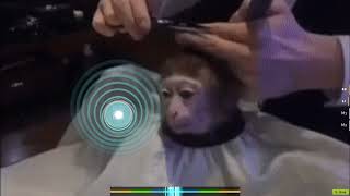 200 bpm
