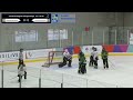 2026 CRC-CCR U19 ⭕ Kitchener Wildcats vs Team Prince Edward Island [1715 April 1, 2026]