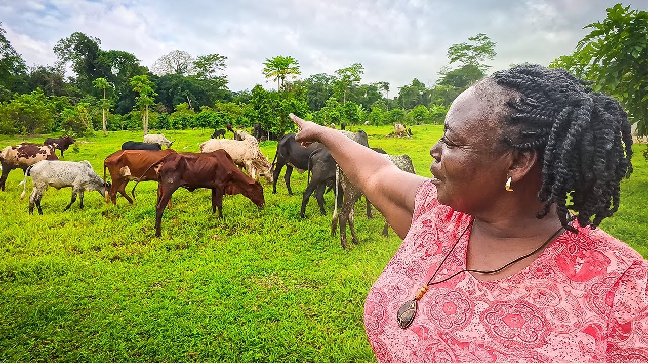 VISITO una HACIENDA GIGANTESTA en Guinea Ecuatorial