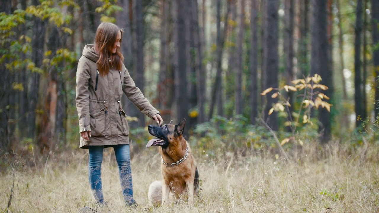 Petting Deutsch Petting Deutsch