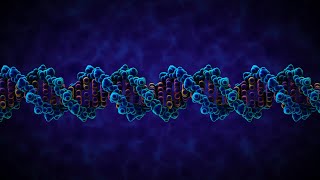 The Structure of DNA