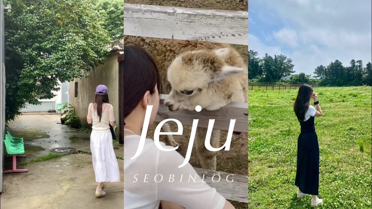 🌴Jeju vlog | 가족과 함께 3박4일 제주 | 비가와도 좋은 제주 반바퀴 코스 | 제주맛집 | 제주숙소추천 | 제주카페 | 제주서쪽여행