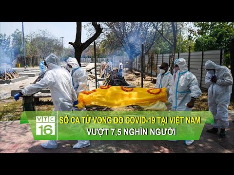 Đất Nước Việt Nam Có Bao Nhiêu Người - Số ca tử vong do Covid-19 tại Việt Nam vượt 7,5 nghìn người | VTC16