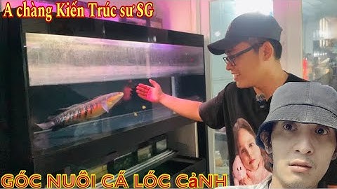 Hót boy kiến trúc sư trẻ và khu nuôi Cá Lóc Cảnh siêu đẹp SG-Thái Salem vê lốc