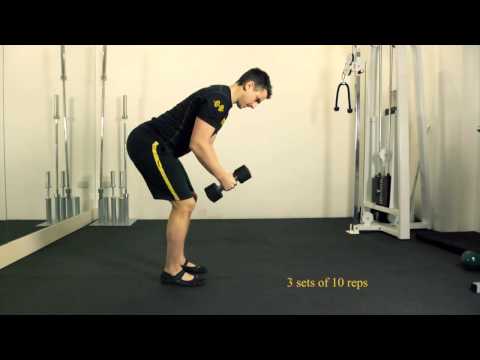 Bent Over Dumbbell Reverse Fly