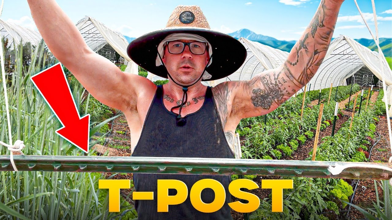 УНИЧТОЖЬТЕ ПОКРОВНЫЕ КУЛЬТУРЫ ОЗИМОЙ РЖИ С ПОМОЩЬЮ ЭТОГО ХАЛАКА!