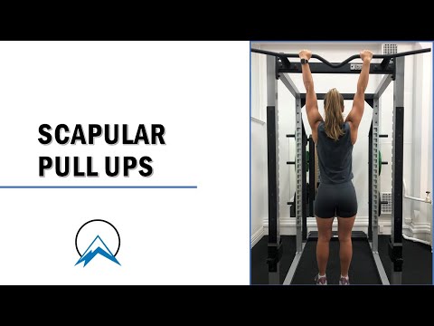 Scapular Pull Up