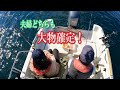 お母さんは高級魚。お父さんは嬉しい魚。どちらもデカい！誰でも釣れる簡単仕掛けで。