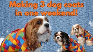 Making cosy coats for my dogs