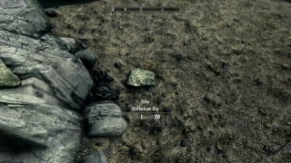 The Elder Scrolls V: Skyrim 'Side Quest: Kill Bandit Leader at Bilegulch Mine'