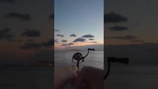 Tekte İstavrit Avı Şanslıyım Ik Ikçılığı