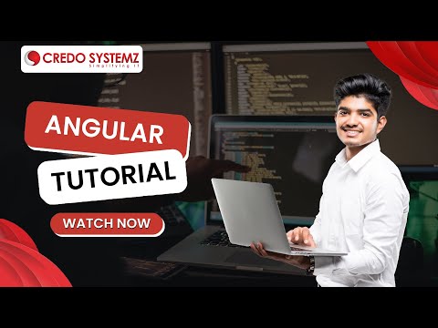 Angular Reactive Forms Validation by Credo Systemz