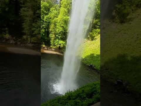 Video: Bartenders Blir Vilda På En Forest Retreat I Silver Falls, Oregon