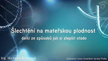 Jak se hladina moře měnila?