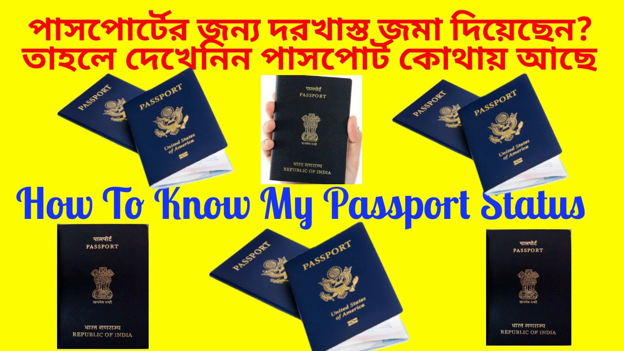 Passport status