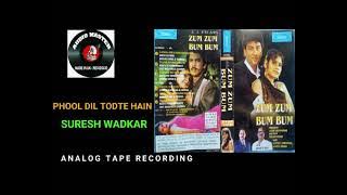 Very Rare Song - Phool Dil Todte Hain ( Singer - Suresh Wadkar ) Film - Zum Zum Bum Bum