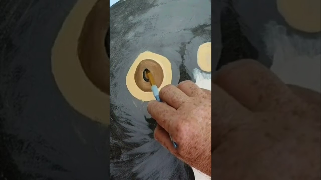 How I paint Eyes on an Australian Black Cockatoo 