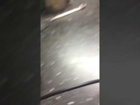 Насос цсс линкольн lincoln p203