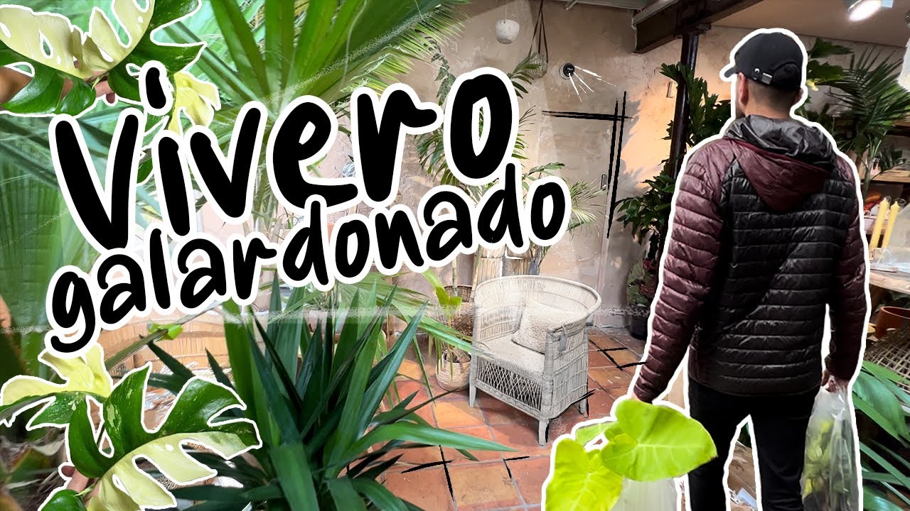 NUEVO RECORRIDO de VIVERO GALARDONADO en LONDRES!!! Vivero North One N1 🍀🌿🏳️‍🌈