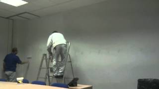 Wall painting timelapse video