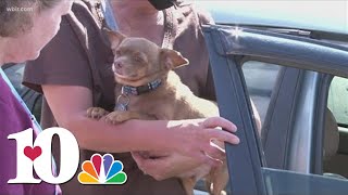 RAM, YWAC teaming up for free drive-thru pet clinic on Oct. 7