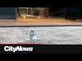 Old saga over bottled water returns to Calgary city hall