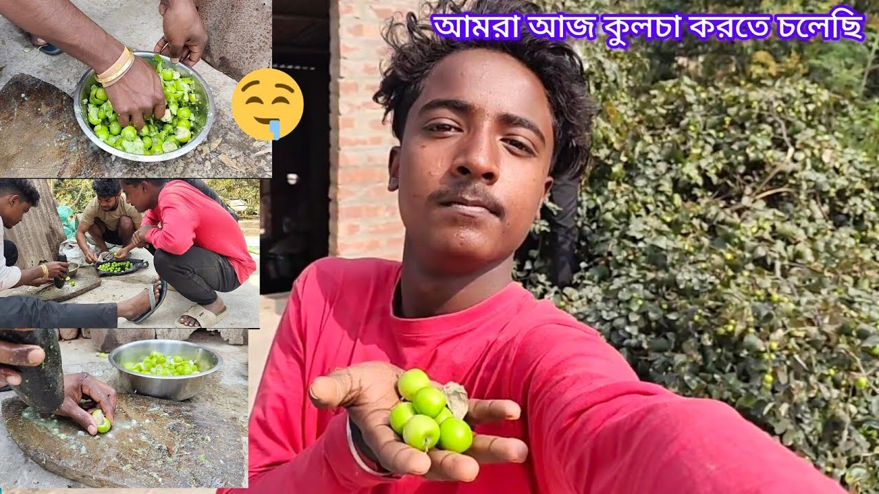 আজ আমার সব বন্ধু মিলে পরিচয়টা করলাম 😋😃গাছের কুল পাকা পাকা  # hastack ki #editing editin#trackmaker 