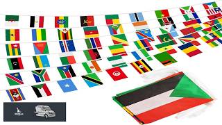 Africa 54 Countries Banner Flag String 54 African Country Mini Flag Small
