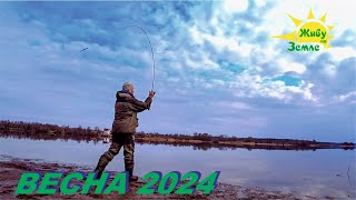 Рыбалка Весной. Клёв Рыбы на Джиг! Отличное Утро в Апреле 2024