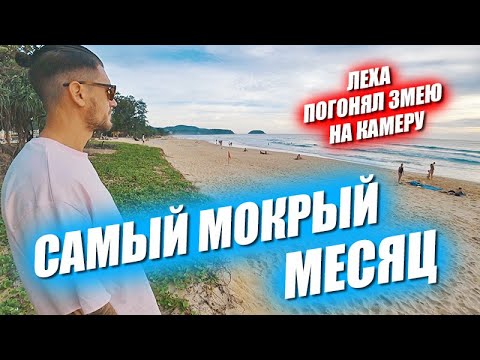 Леха погонял змею. Популярный пляж в самый мокрый месяц. Покупаем электронки