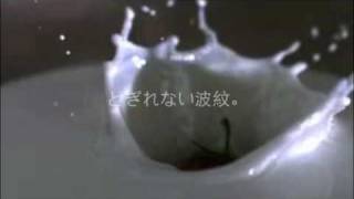 ACfA PileOnly 「P-1 最強タッグ 2010」Trailer