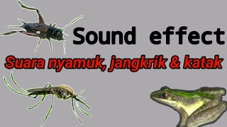 Suara Nyamuk, jangkrik dan katak | Sound effect youtube no copyright