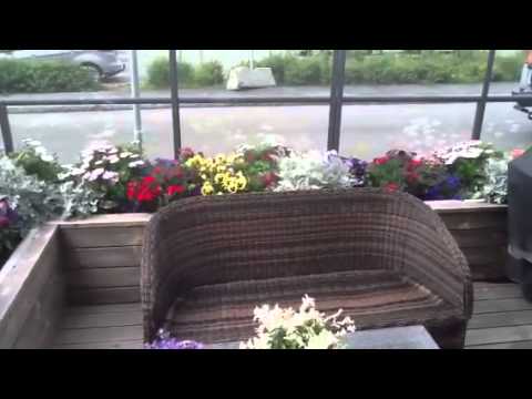 Blomster på terrassen youtube Blomster til terrassen