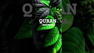 quran with urdu translation full/sureh shamsh #quranictranslation #المصحف #quran #viralvideo