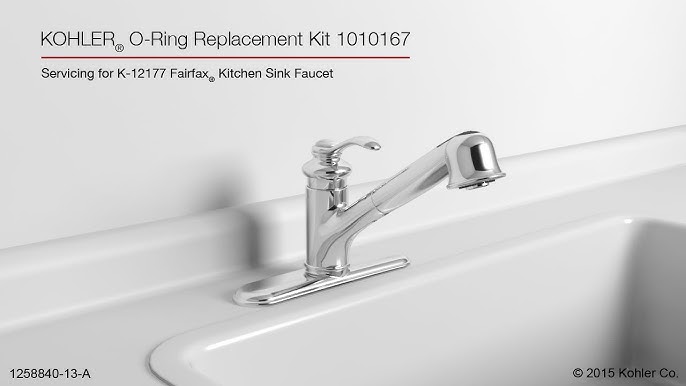 Kohler Forte Pull Out Kitchen Sink