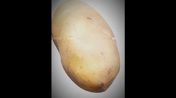 #youtubeshorts #avee_player #phonkagressive #edit #aveeplayerlegend #shorts #cs1.6_edit #phonkmusic