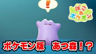 図鑑に全てのポケモンを登録すると!? ぽこあ ポケモン!