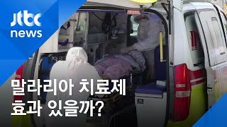 국내 치명률 1% 넘어…말라리아 치료제, 효과 있을까? / JTBC 아침&