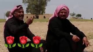 hatay reyhanlı şanlı urfa arapça şarkı zammır şebep