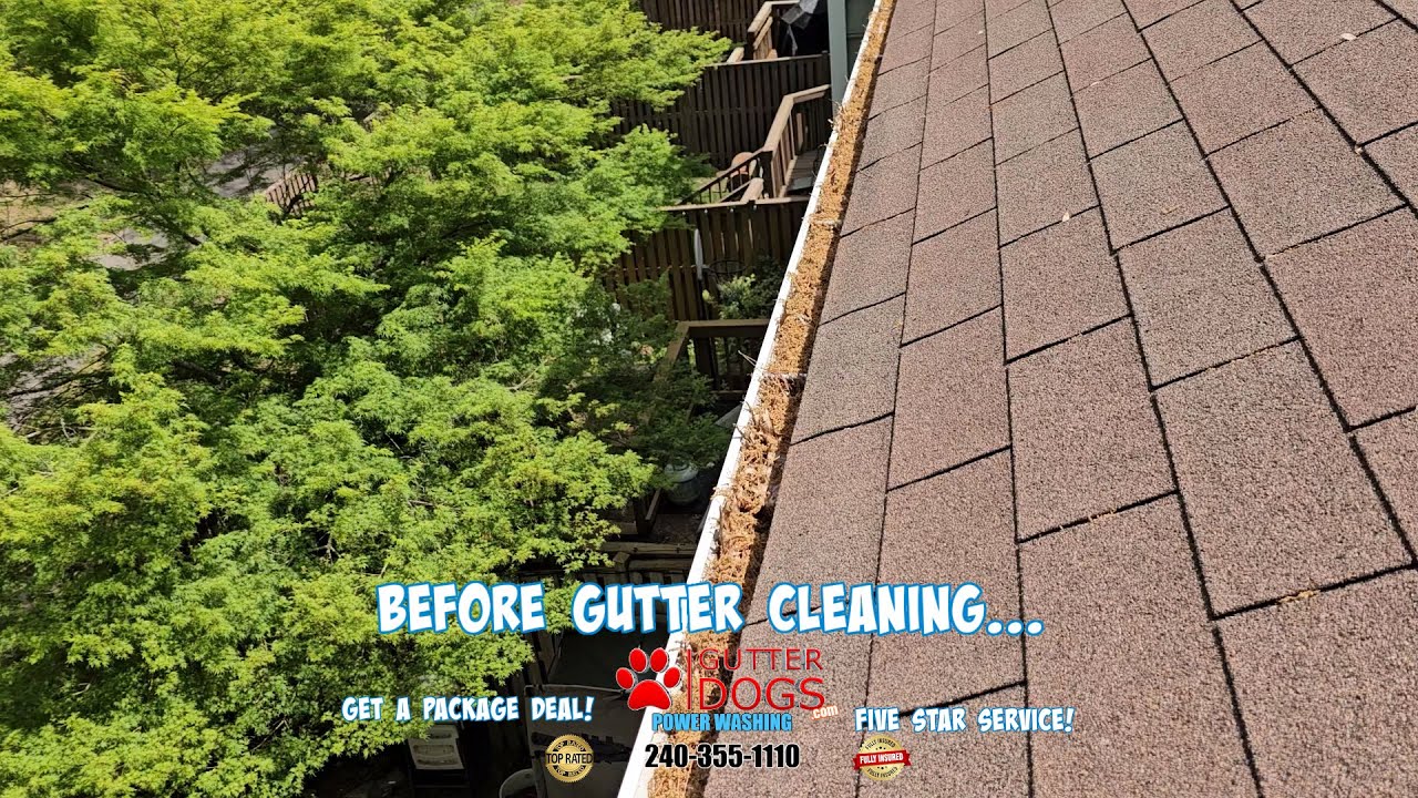 Top-Rated Gutter Cleaning Services in Upper Marlboro, MD | GutterDogs