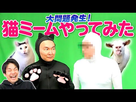 【猫ミーム】かまいたちが流行りの猫ミーム動画を撮影しようとしたら大問題発生！