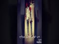 ليله عيد كلها افراح ليله عيد كلها افراح